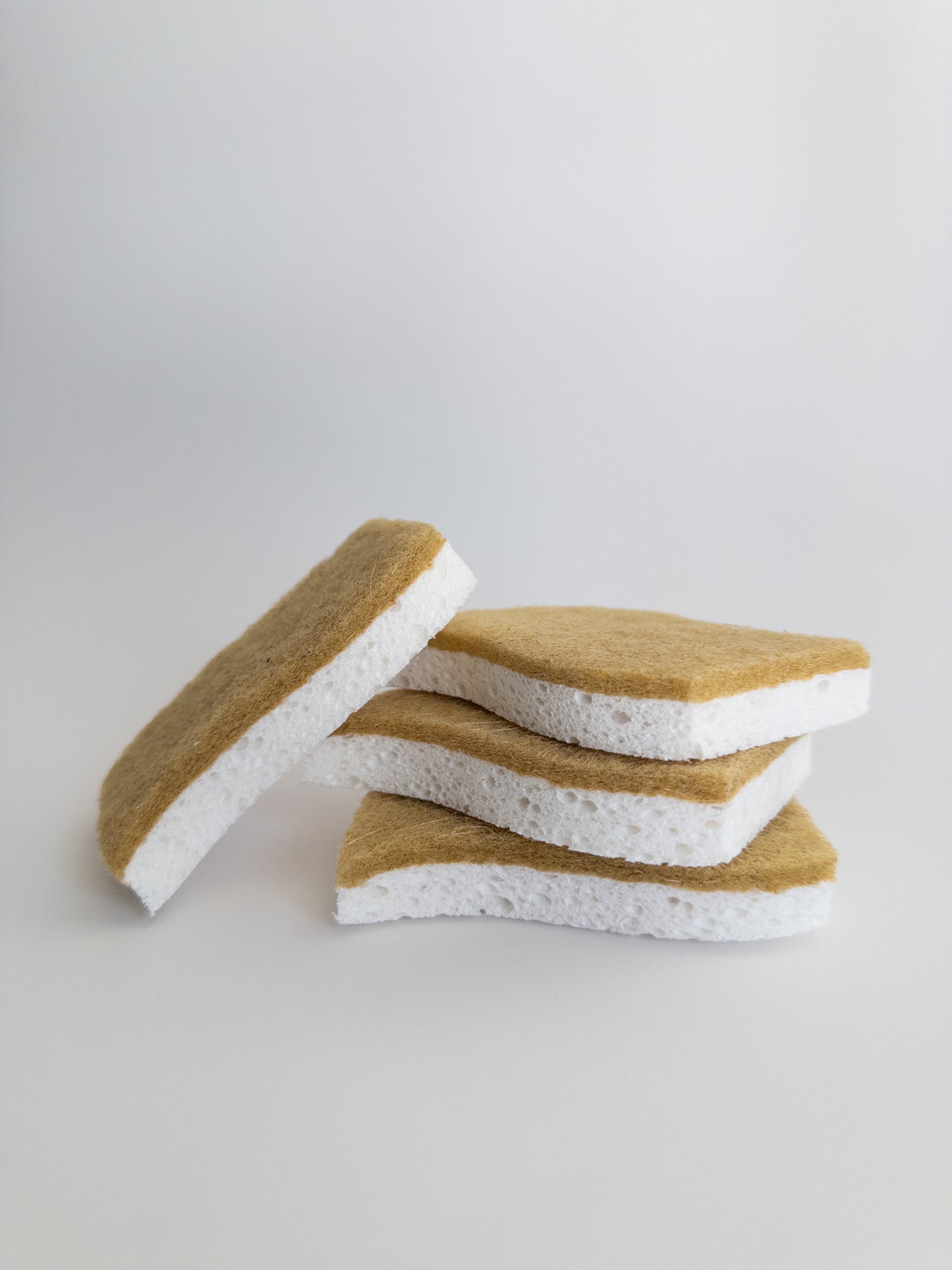 Eco Sponge 12 Pack